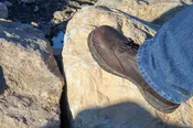 Assorted Landscaping Boulders - 1 - 2 man