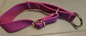 Collar – Alaskan 1″ Magenta Small  CLEARANCE