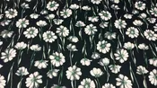 Cotton Print