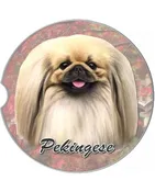 231-61 Pekingese Car Coaster