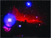 Horsehead Nebula Poster