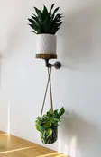 Plant Shelf