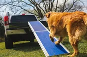 FOUR RUNNER® Portable Pet Ramp