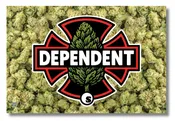 Art Print : Dependent