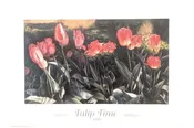 Vintage Poster | Tulip Time 1996 - Holland, MI — The Frame and Mat Shop