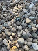 Chippewa River Rock