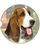231-2 Basset Hound Car Coaster