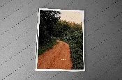 All the Place You've Got — PEEL