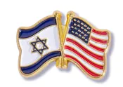Allies Lapel Pin