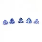 1.10ctw Tanzanite Trillion Loose Stone Parcel