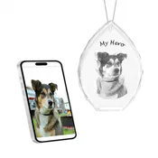 2D Crystal Photo Oval Ornament - Engraving Option