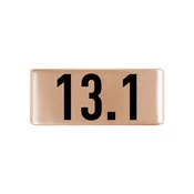 13.1 Badge