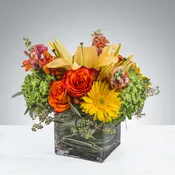 Citrus Splash by BloomNation™
