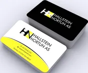 Standard Business Cards