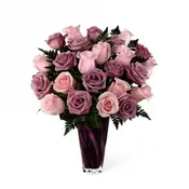 2 DZ PURPLE AND PINK ROSES