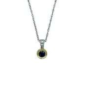 14K White Gold and 18K Yellow Gold Sapphire Pendant