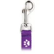 #106-BP 4-ft. Printed Paw/Bone Flat Leashes w/ Bolt Snap