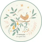 12 Days of Christmas Coaster (Set of 12) | Premium Vinyl Mat