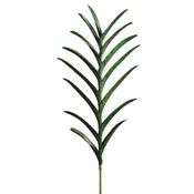 33" Vanda Orchid Leaf Plant With 15 Leaves Green