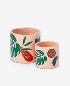 Tropical Palm Print Planters