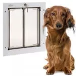 Dog Door in Door Series | Products | PlexiDor Dog Doors