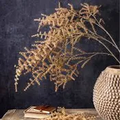 Artificial Asparagus Fern Desert