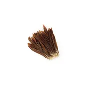 10 PC/PKG Golden Pheasant Tails Natural 8-10" - Natural