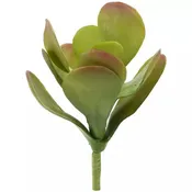 10" Kalanchoe Stem