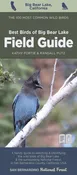 Best Birds in Big Bear Lake Field Guide