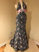 Paris Tony Bowls Size 2 Prom Special Occasion Dress
