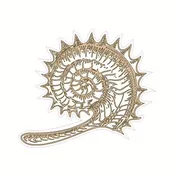 Ammonite Design Silly Patch