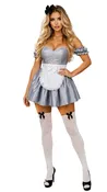 Alice Storybook Silver Corset Dress Women's Halloween Costume