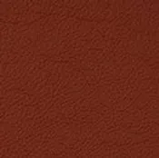 22 Longlife Soft Chili Leather Swatch