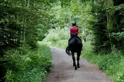 Gift Card — Greenway Saddlery