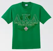AKA Rho Beta Omega 2013 Tee
