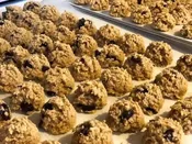 Fresh-Baked Cranberry Soft Bites for Dogs — Spike's Treats