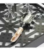 Caribbean Chic Ice Scoop