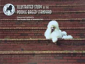 Illustrated Study of the Poodle Breed Standard