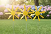 12 pack Early Bloomer 8 inch Spinning Daisies