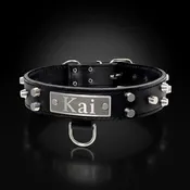 1.5" Wide Italian Leather Bucket Stud Dog Collar with Engraved Name Plate