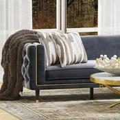 Agatha 90" 2 Cushion Sofa - Gray Velvet + Brass Trim