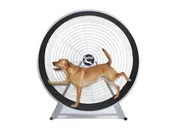 CS 6020 - Medium-Large Breed TreadWheel