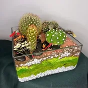 Block Pan