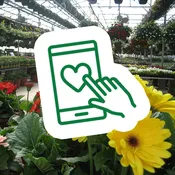 Pahl's Market Gift Card