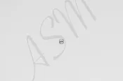 AS100 Front Oiler Housing Spring