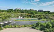 Cape Cod Residence — LeBlanc Jones Landscape Architects