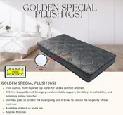 Golden Special