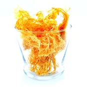 100% Wild Crafted Sea Harvested Sea Moss/ Irish Moss