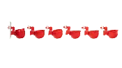 Automatic Chicken Water Cup Waterer Kit for Poultry 6-Pack