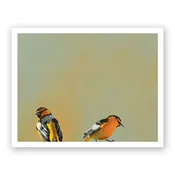 11 x 14 Limited Edition Art Print - We Met Cute In The “As Is” Section At IKEA, Yet...